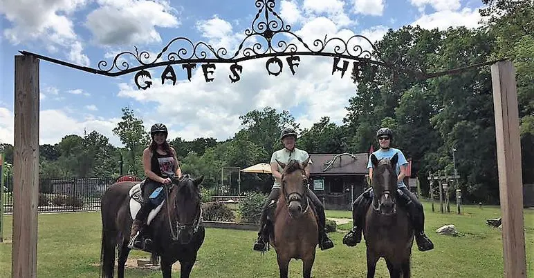 Supportive Equestrian Shop For Trail Lovers in Pinckney horse